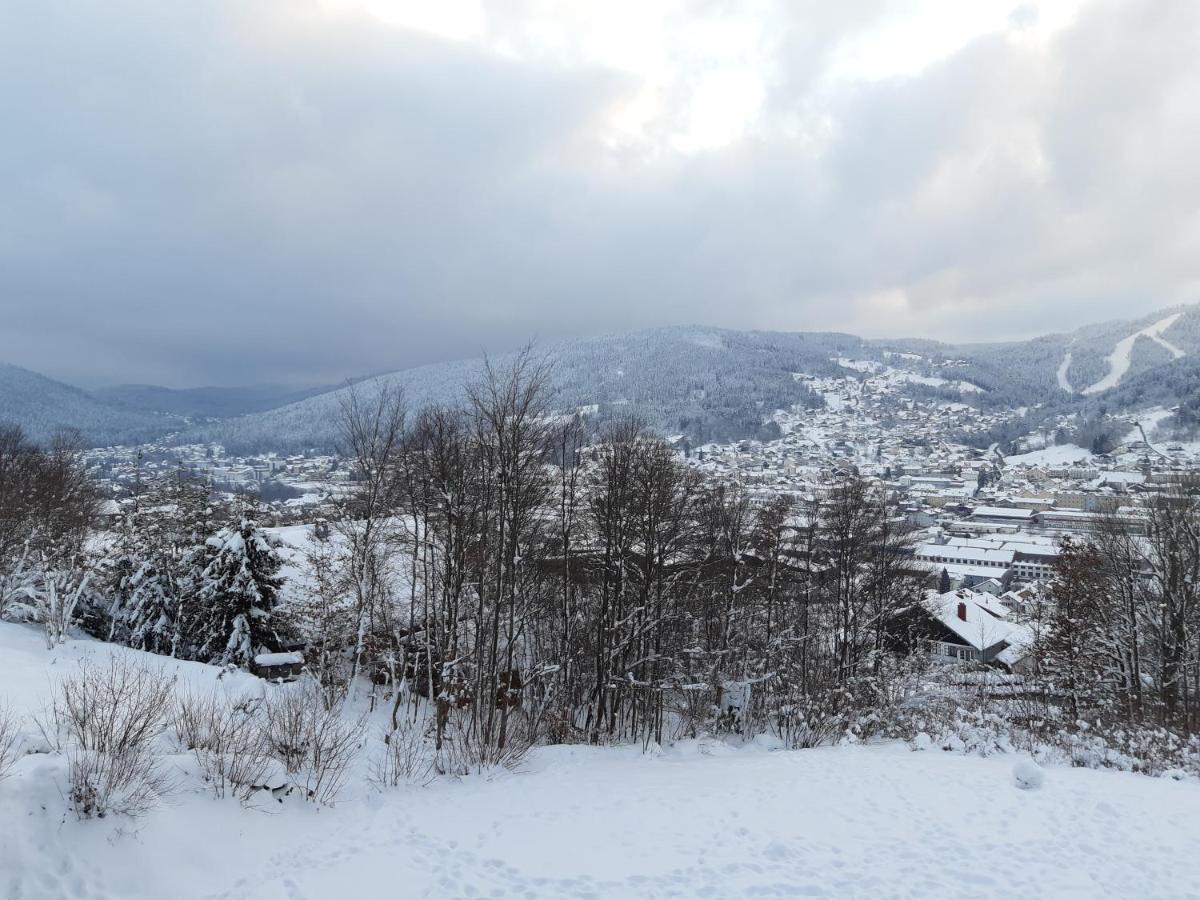 Studio Les Bleuets Gérardmer Exteriör bild