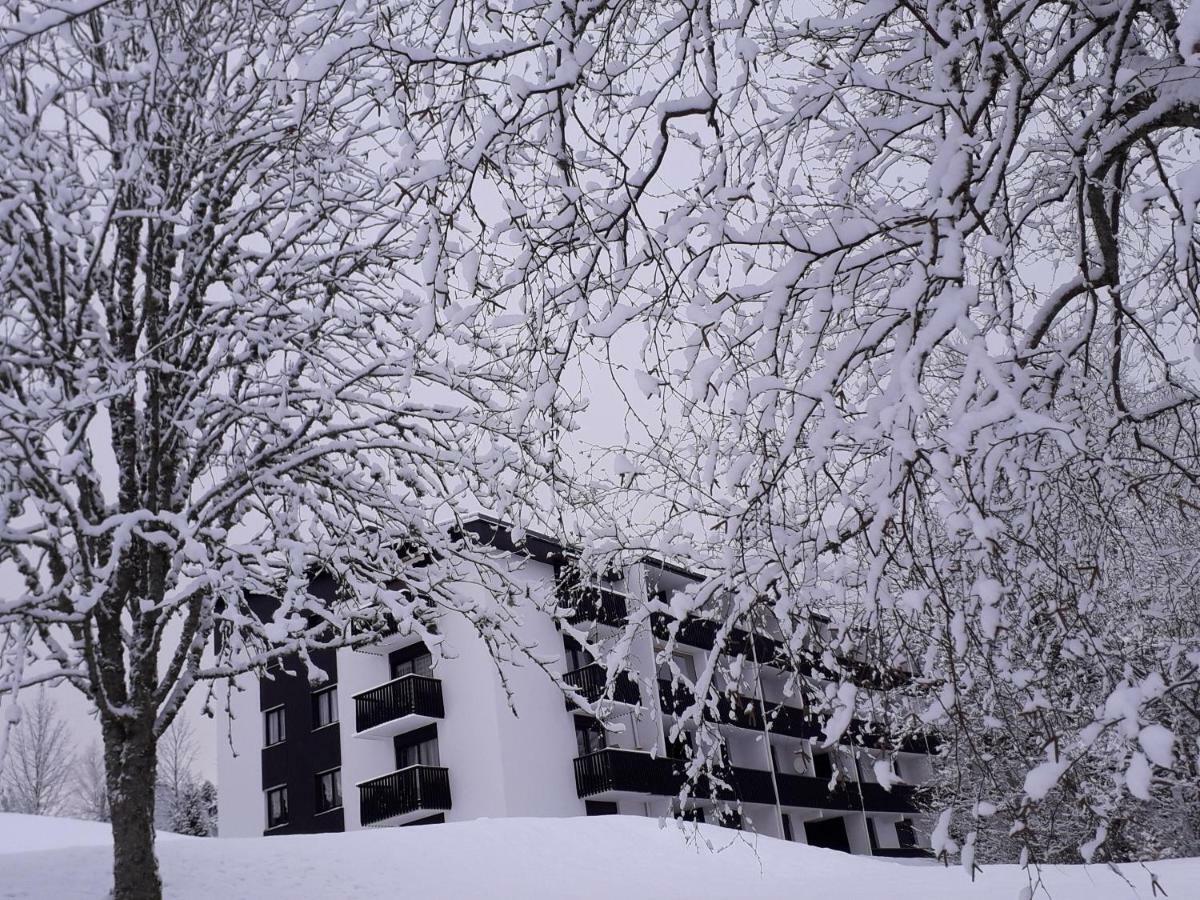 Studio Les Bleuets Gérardmer Exteriör bild