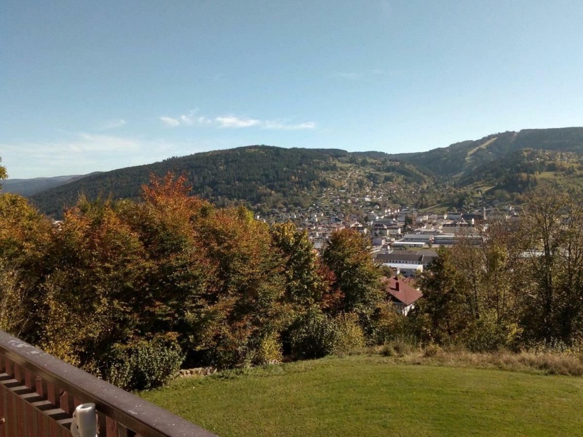 Studio Les Bleuets Gérardmer Exteriör bild